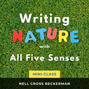 Writing Nature with All Five Senses